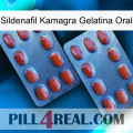 Sildenafil Kamagra Oral Jelly 05